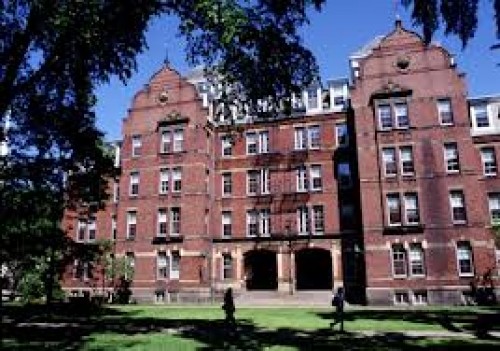 Harvard'lı hocalar: Türk hastalar ABD'ye gelmesin