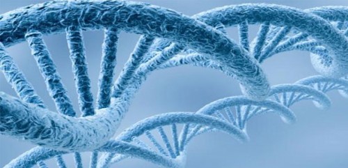 Kanserde hastaya özel tedavi