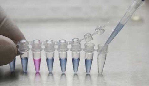 Kansere çare bulundu mu?