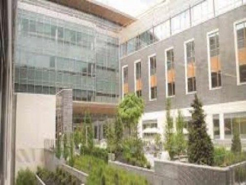 3 yeşil hastanede 5 bin yatak kapasitesi