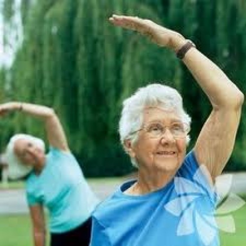 Kemik İliği Hastalıkları