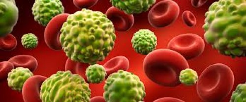 Kansere çare bulacak gladyatörler