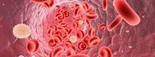 Lösemiye hücre tedavisi umudu