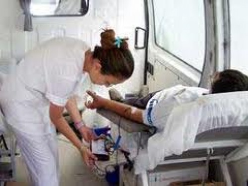 Sağlık çalışanlarının sorunları Başbakana iletildi 