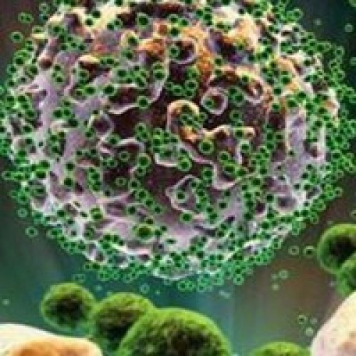 İki 'dev' virüs' keşfedildi