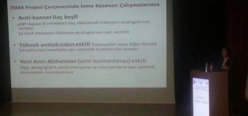 Nanoteknolojik İlaçların Geleceği Tartışıldı
