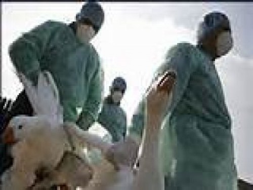 Nobelli  ödüllü uzmanlardan kuş gribi uyarısı