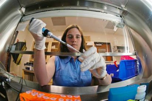 Kök hücre, her hücreye dönüşebilir