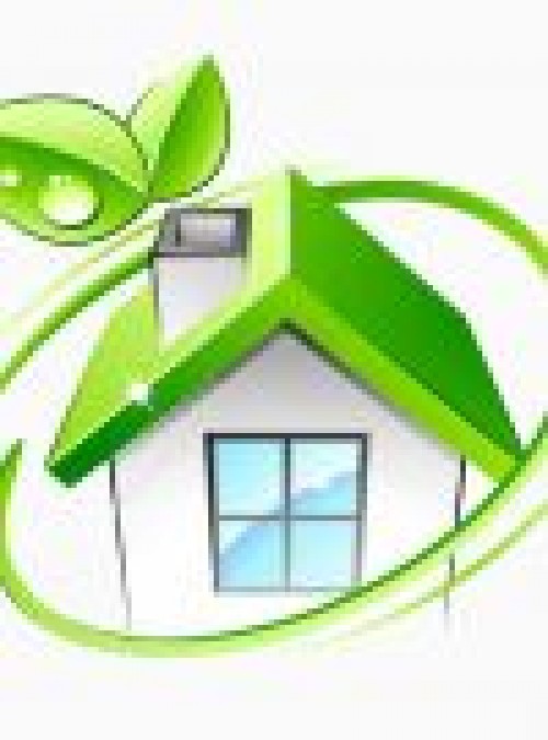 “Kök hücre”nin hayatımızdaki yeri