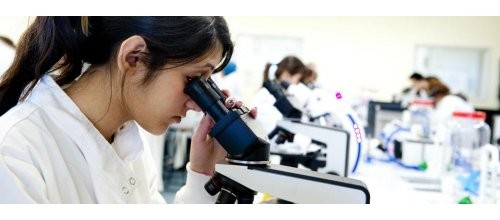 Sağlık Bakanlığı uzmanlık eğitiminde değişiklik yapılmasına dair yönetmelik yayınladı