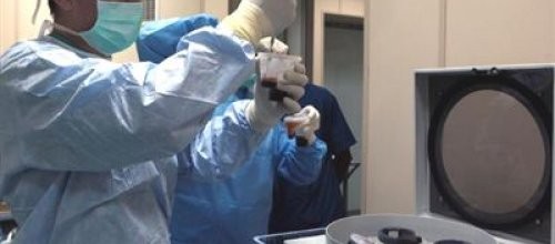 Kök hücre nakli hastalıksız yaşam süresini uzatıyor