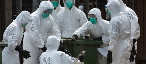 Tavuk eti ve yumurta risk altında mı?