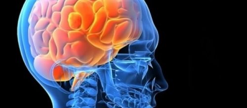 Orucun beyin üzerindeki inanılmaz etkisi