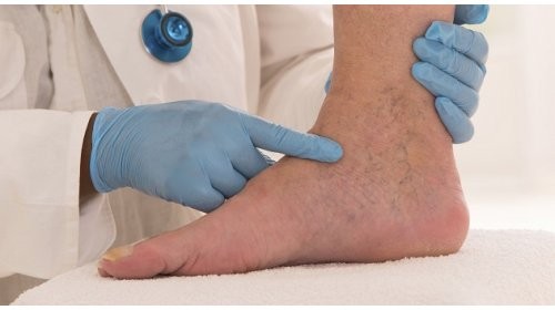 Varis deyip geçmeyin!