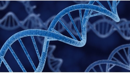 Beyin felcinde genetik bağlantı