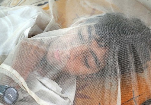 Batı Nil virüsü alarmı