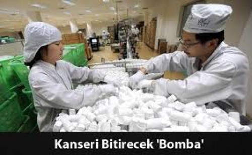 Kanserde 'Akıllı Bomba' Yöntemi