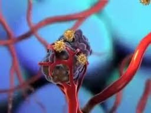 Kansere doğal ilaç tavuktan