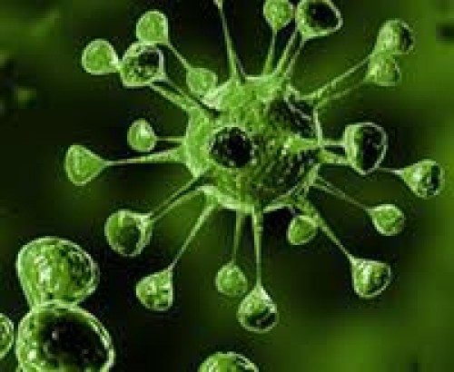 Kanserli hücre birbirini yiyecek