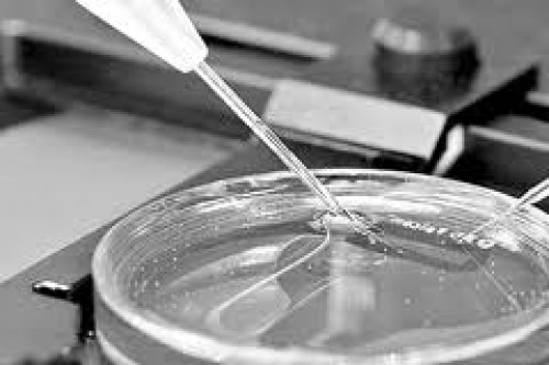 Endüstriyel Eczacılık Üzerine