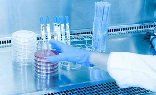 Kanser araştırmalarında çığır açacak keşif