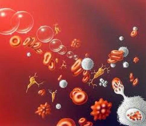 Hemofili hastalarına Radyoaktif Synevektomi tedavisi