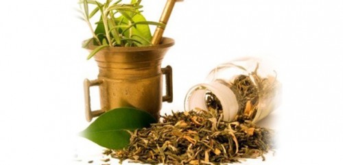 Türk akademisyen yeni bir bitki türü keşfetti