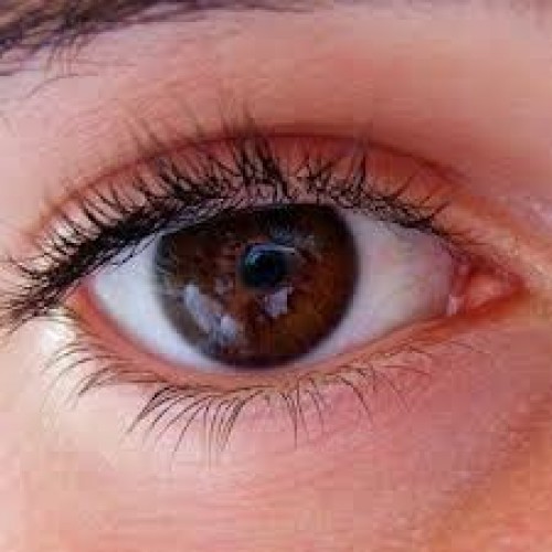 Hücre değişimiyle körlüğe tedavi