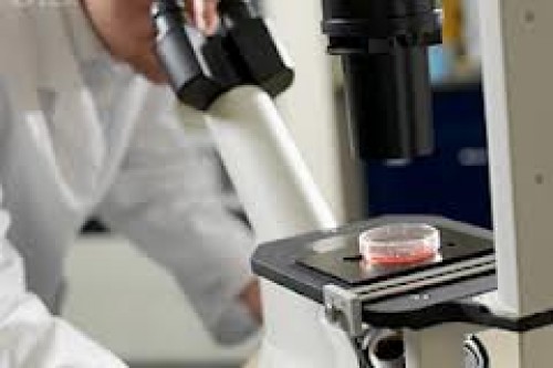 Kanserde umut veren yeni gelişme