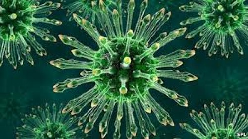 HIV virüsünün izleri milyonlarca yıl öncesine uzanıyor