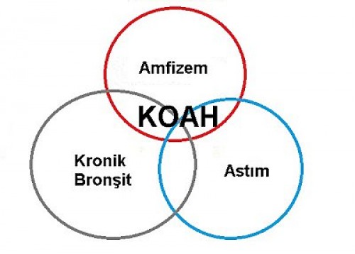 Akciğer hastalıklarında ölüm oranı yüksek