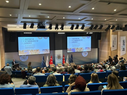 13. Akupunktur ve Tamamlayıcı Tıp Kongresi