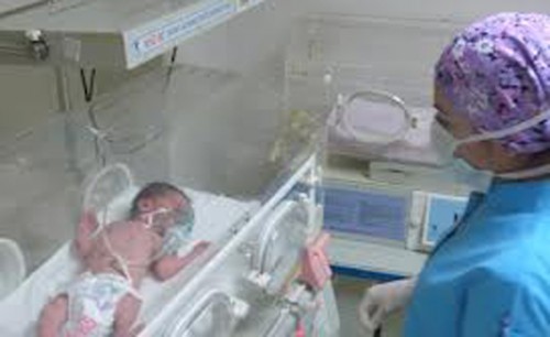 Bebekler 'soğutularak' yaşama tutunuyor