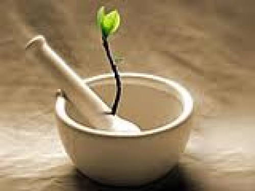 Majistral ilaç eczacının saygınlığı