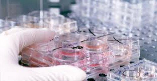 Tıp dünyasında ‘hayati’ buluş