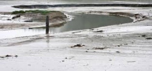 Okyanus çamurundan 'süper antibiyotik'