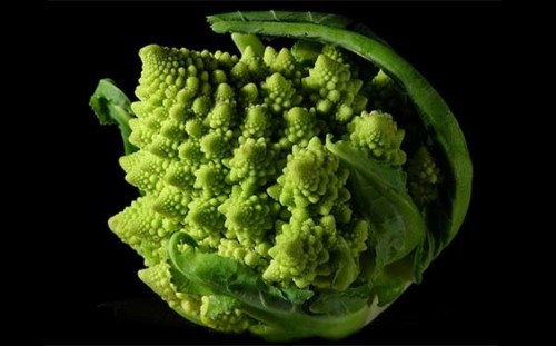 Bilim insanları kainattaki matematiği anlatıyor