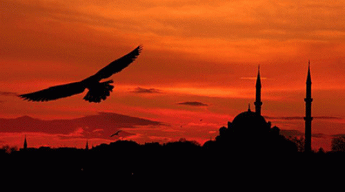 Mevlid Kandilimiz Mübarek Olsun