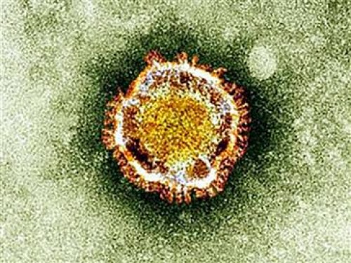 Corona virüsü tanımlandı