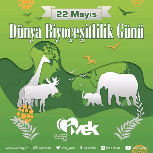 22 Mayıs Dünya Biyoçeşitlilik Günü