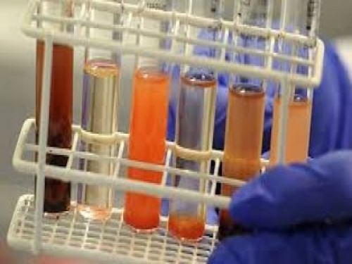 Türkiye'nin Genetik Kılavuzu Hazırlanacak