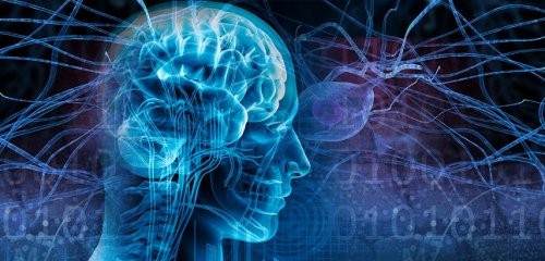 Türkiye'de 720 bin epilepsi hastası mevcut