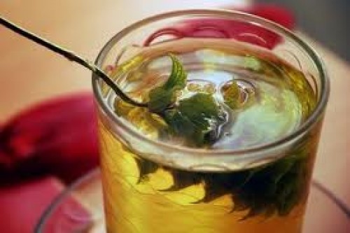 Salvia officinalis (Adaçayı)