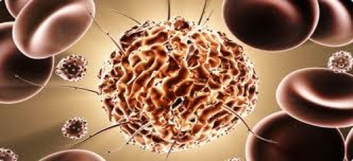 Kök Hücre Tabanlı Bir İlaç Kanada'da Onay Aldı