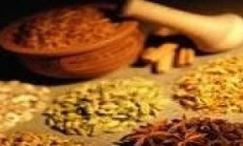 Japon akademisyen Türkiye'de şifalı bitkileri araştırıyor