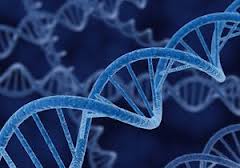  'Dörtlü sarmal' DNA kanserde yeni umut 