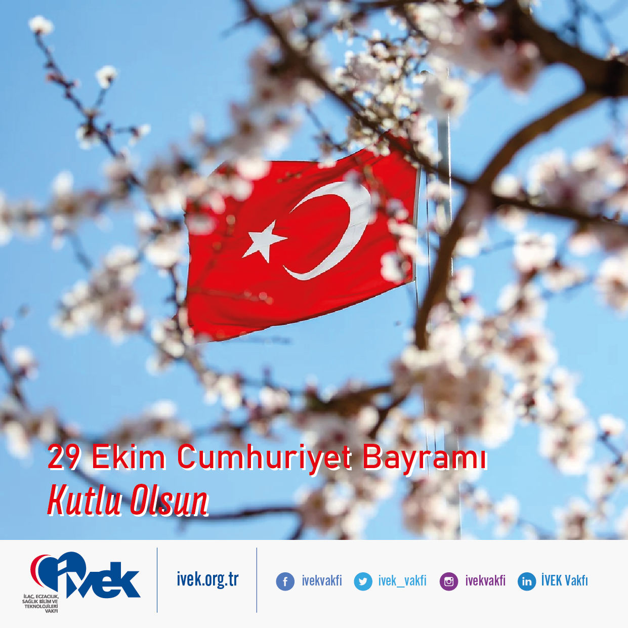  29 Ekim Cumhuriyet Bayramı 